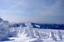 �R�`�����y���V����