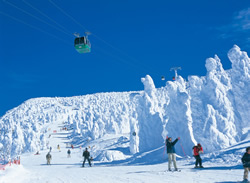 �R�`�����y���V����